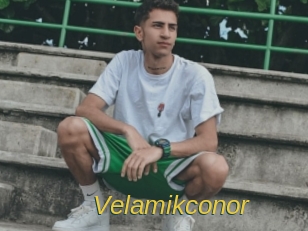 Velamikconor