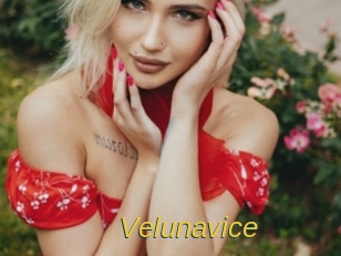 Velunavice