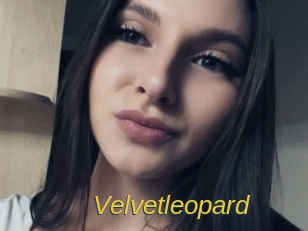 Velvetleopard