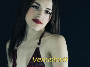 Venusfontt