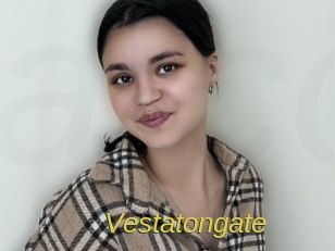 Vestatongate