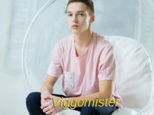 Viggomister