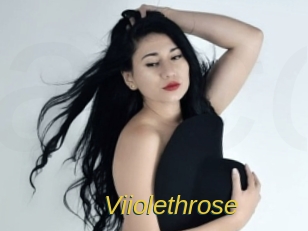 Viiolethrose