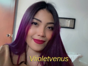 Viioletvenus