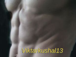 Viktarkushal13