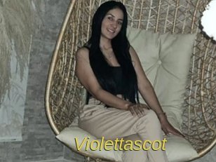 Violettascot