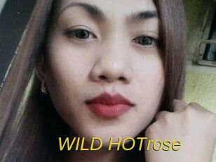 WILD_HOTrose