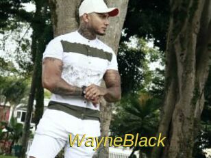 WayneBlack