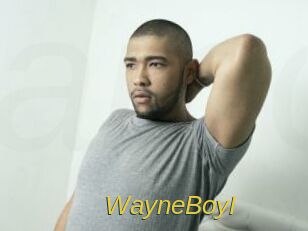 WayneBoyI