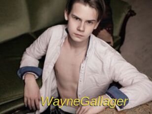 WayneGallager