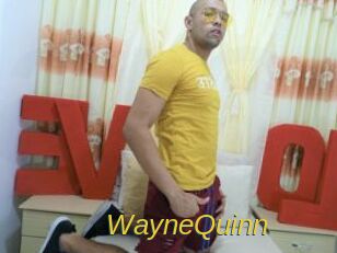 WayneQuinn