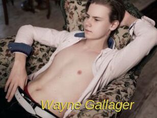 Wayne_Gallager