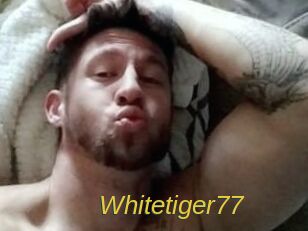 Whitetiger77