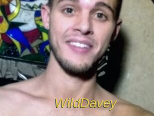 WildDavey