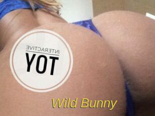 Wild_Bunny_