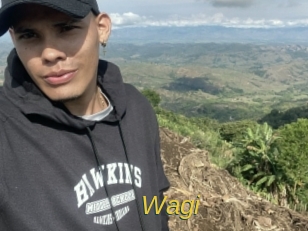 Wagi