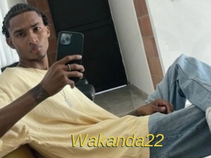 Wakanda22