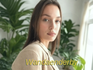 Wandaenderby