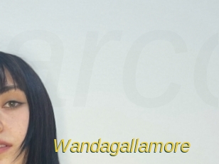 Wandagallamore