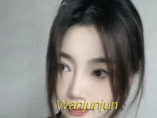 wanjunjun Archive DVD ORG