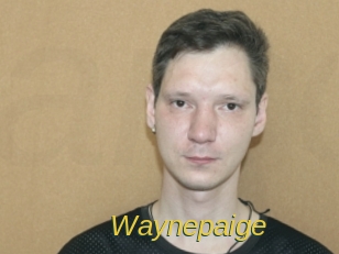 Waynepaige