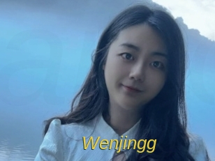 Wenjingg