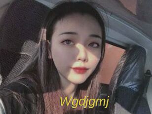 wgdjgmj Archive DVD ORG
