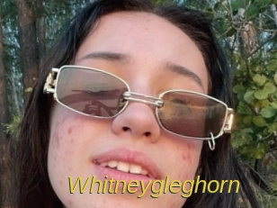 Whitneygleghorn