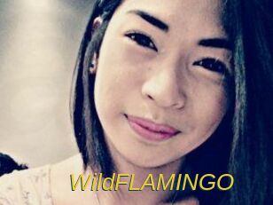 WildFLAMINGO