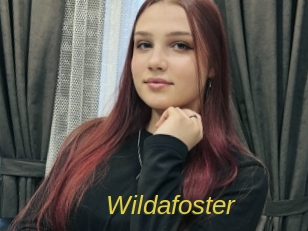 wildafoster Archive DVD ORG