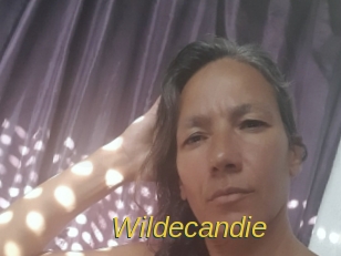 wildecandie Archive DVD ORG