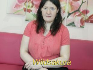 Wildsakura