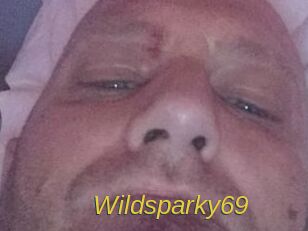 Wildsparky69