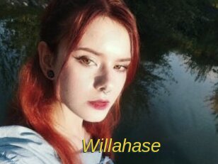 Willahase
