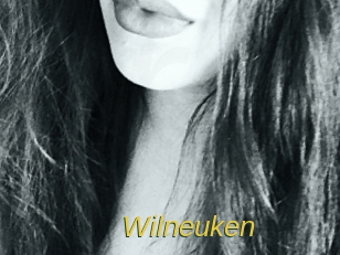 wilneuken Archive DVD ORG