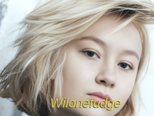 Wilonefudge