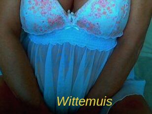 Wittemuis