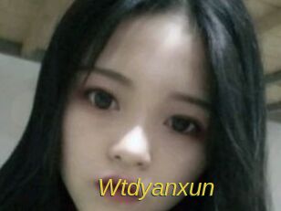 Wtdyanxun