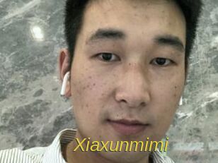 Xiaxunmimi Archive DVD ORG