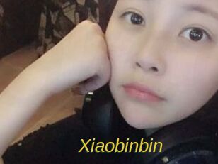 xiaobinbin Archive DVD ORG