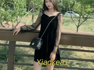 Xiaokea1