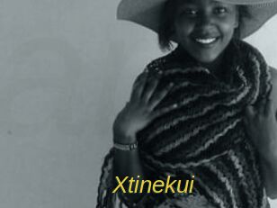 Xtinekui