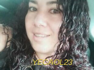 YECAOL23