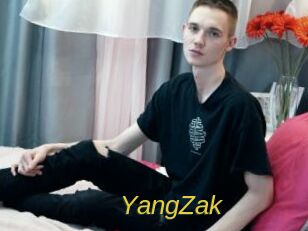 YangZak