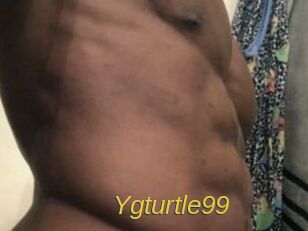 Ygturtle99