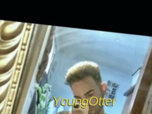 YoungOtter