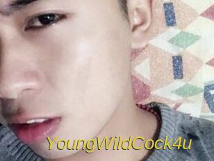 YoungWildCock4u Archive DVD ORG