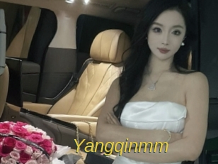 Yangqinmm