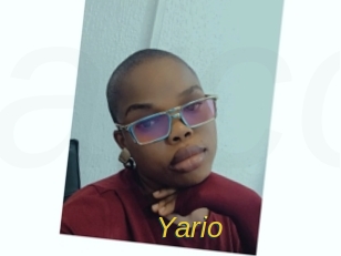 yario Archive DVD ORG