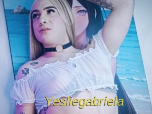 yesliegabriela Archive DVD ORG